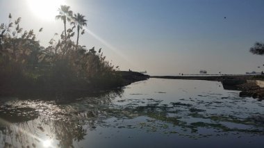 Kıbrıs 'taki güzel Akti Olympion Plajı Limasol