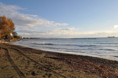 Kıbrıs 'taki güzel Akti Olympion Plajı Limasol