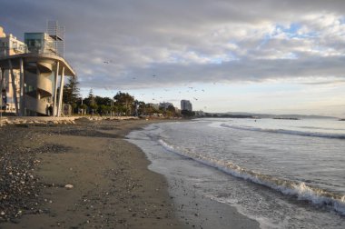 Kıbrıs 'taki güzel Akti Olympion Plajı Limasol