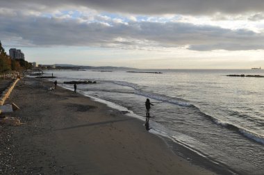 Kıbrıs 'taki güzel Akti Olympion Plajı Limasol
