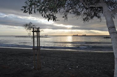 Kıbrıs 'taki güzel Akti Olympion Plajı Limasol