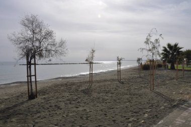 Kıbrıs 'taki güzel Akti Olympion Plajı Limasol