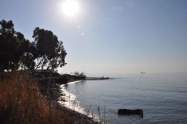 Kıbrıs'ta güzel Limasol Beach