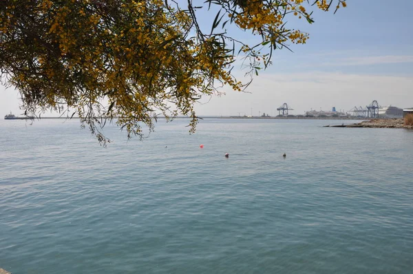 Pantai Limassol Yang Indah Siprus — Stok Foto