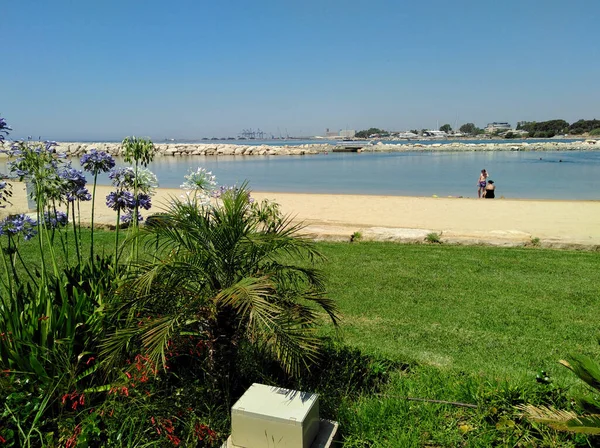 Krásná Limassol Marina Beach Nebo Golden Beach Limassol Kypru — Stock fotografie
