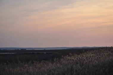 Kıbrıs 'taki Güzel Hanımın Mil Limasol' ü