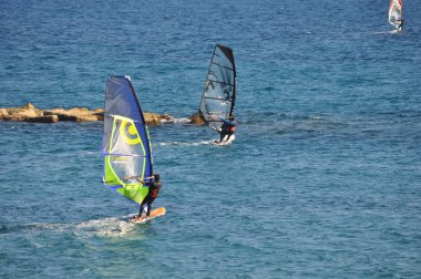 The Windsurfers travel at speed on the sea on a sunny day.