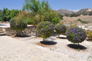 The beautiful village of Avdimou in the province of Limassol, in Cyprus