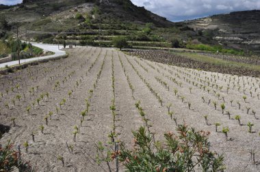 The beautiful village of Omodos in the province of Limassol, in Cyprus