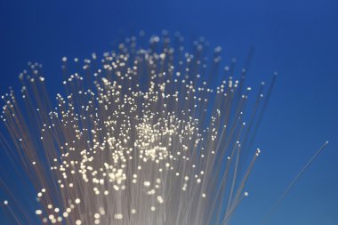 Fiber Optik