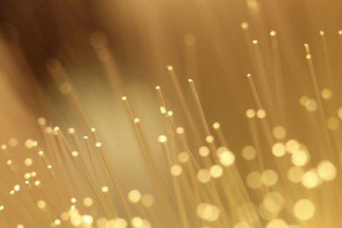 Fiber Optik