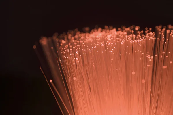 Fiber optic — Stock Photo, Image