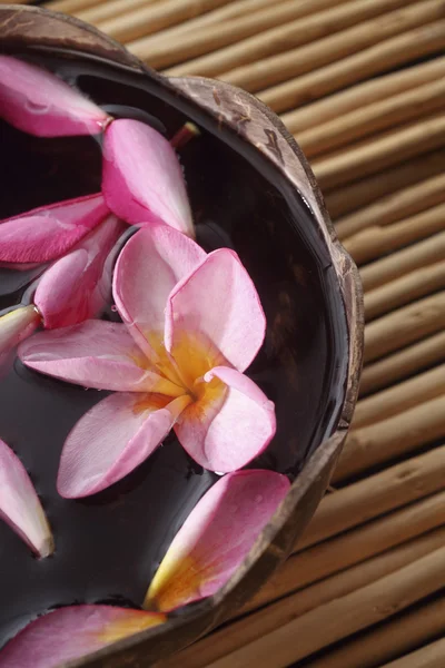 Roze frangipani in het water — Stockfoto