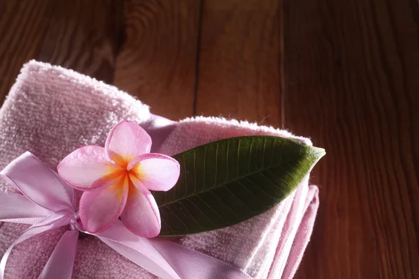 Frangipani rosa — Foto Stock