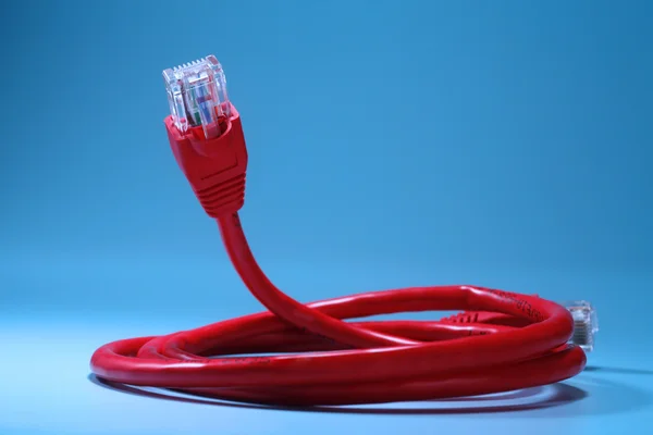 Cable de red — Foto de Stock