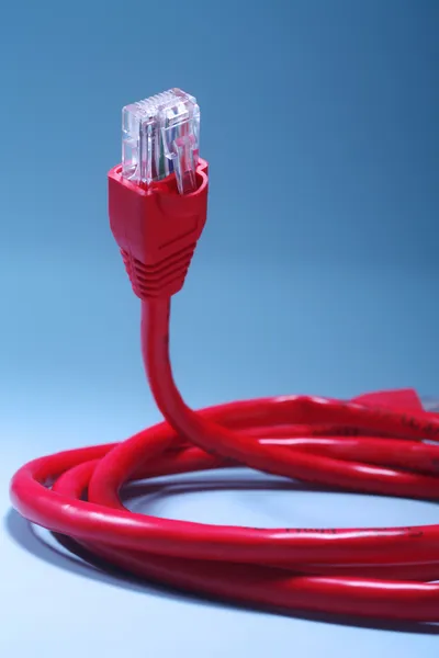 Cable de red — Foto de Stock