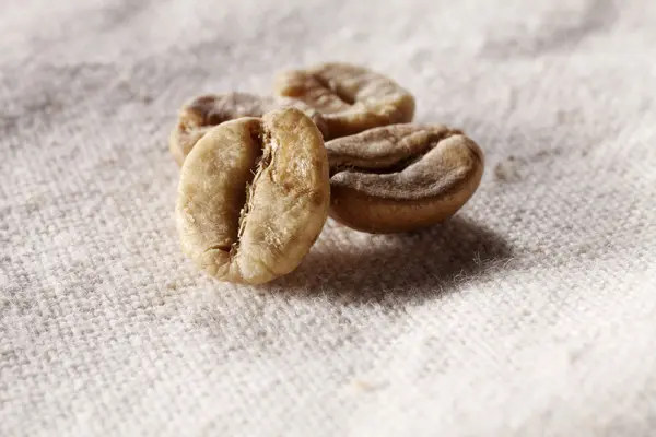 Coffee bean — Stock Photo, Image