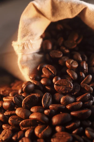Kavrulmuş kahve çekirdeği — Stok fotoğraf