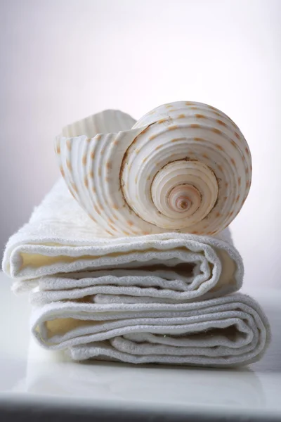 毛巾上贝壳 — 图库照片