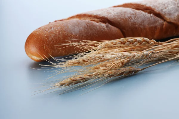 Brot und Getreidepflanze — Stockfoto