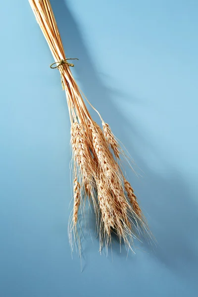 Sheaves of wheat — Stock Photo, Image