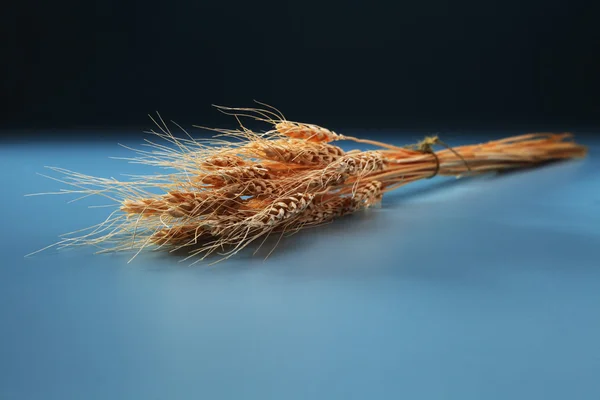 Weizengarben — Stockfoto