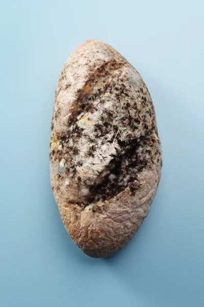 Moulded bread — Stock Photo, Image