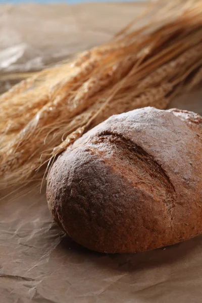 Brot und Getreidepflanze — Stockfoto