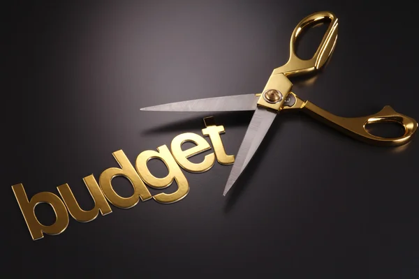 Budget cut — Stock Photo, Image