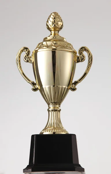 Trophy — Stock Photo, Image