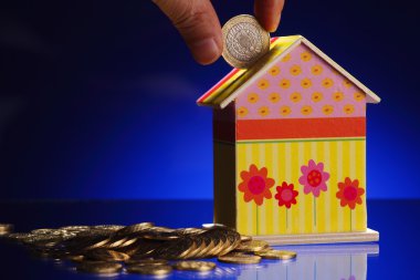 barınak için kaydetme