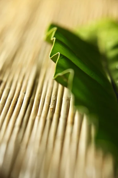 Leaf and bamboo — Stock Photo, Image