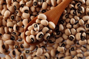 Kara gözlü kuru fasulye