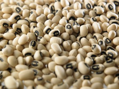 Black-eyed beans clipart