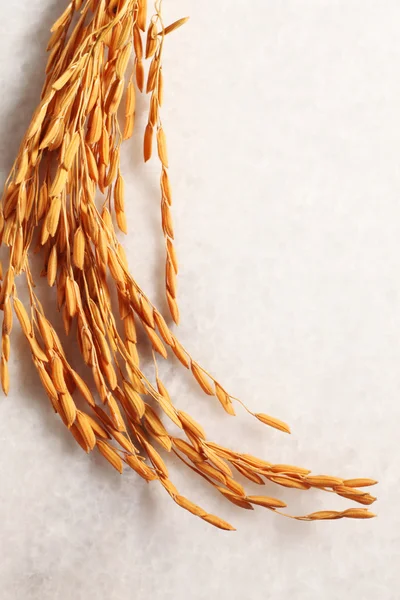 Урожай риса — стоковое фото