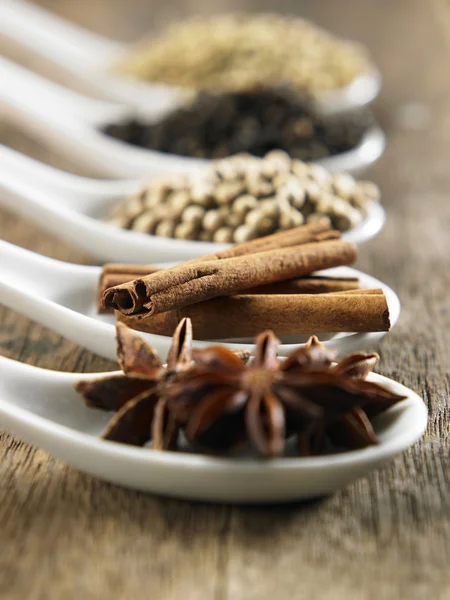 Spices — Stock Photo, Image