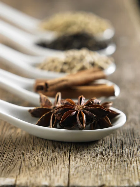 Anise star — Stock Photo, Image