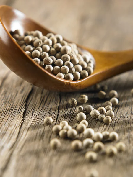 And white peppercorns — Stock Photo, Image