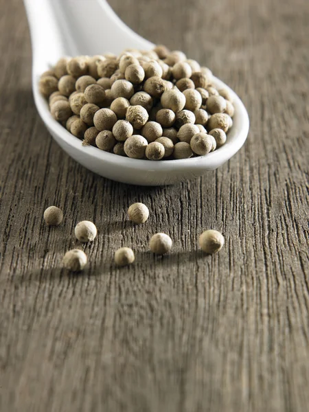 White peppercorns — Stock Photo, Image