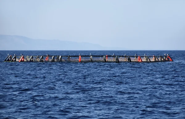 Italien, Sicilien, Medelhavet havet, vattenbruk nät utanför kusten i portopalo di capo passero (Syrakusa provins) — Stockfoto