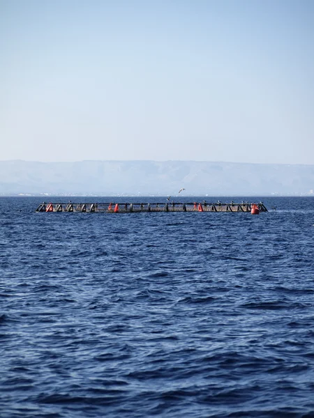 Italy, Sicily, Mediterranean sea, aquaculture nets off the coast of Portopalo di Capo Passero (Siracusa province) — Stock Photo, Image