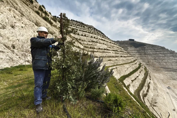 Italië, maddaloni (naples), cementfabriek, stenen put hill, ecologische groene herbeplanting — Stockfoto