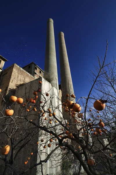 Cement factory — Stock Photo, Image