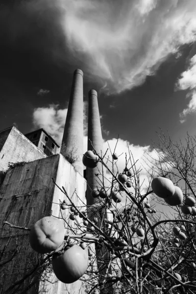 Italy, Maddaloni (Naples), cement factory — Stock Photo, Image