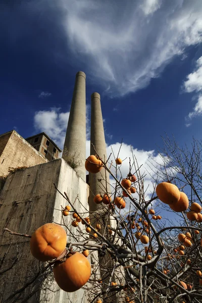 İtalya, maddaloni (Napoli), çimento fabrikası — Stok fotoğraf