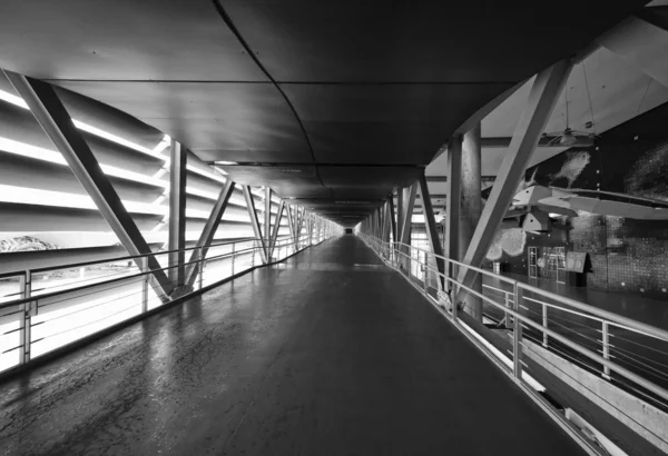 Portugal, lisbon, lisbon oceanarium (ocean rio de lisboa), entworfen vom amerikanischen architekten peter chermeyeff — Stockfoto