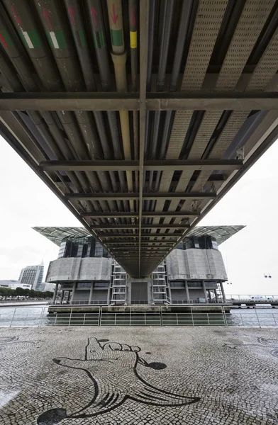 Portugal, Lisboa, Oceanario de Lisboa (Ocean rio de Lisboa), diseñado por el arquitecto estadounidense Peter Chermeyeff — Foto de Stock