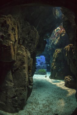 Lisbon Oceanarium