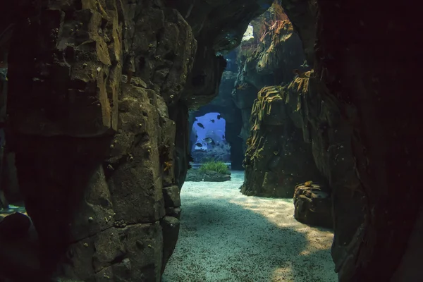 Oceanario de Lisboa — Foto de Stock