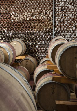 wooden wine barrels in a wine cellar clipart